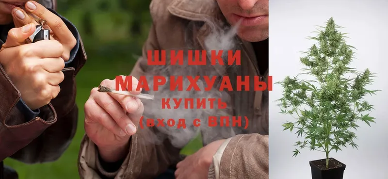 Конопля Ganja  Багратионовск 